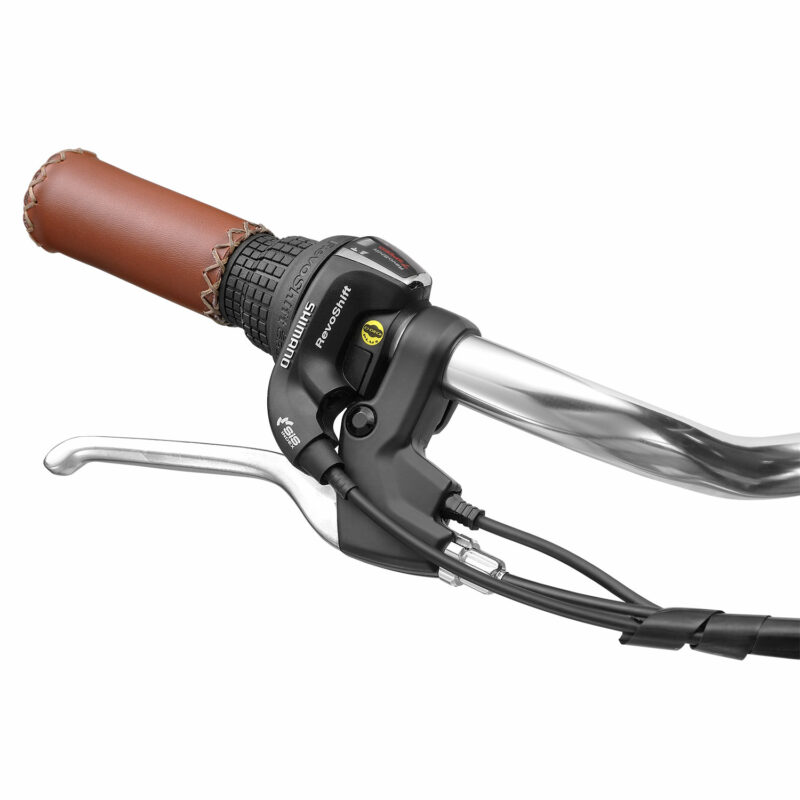Progear Bikes E-Classique Vintage E-Bike 700c*17 in Seaform" - Image 3