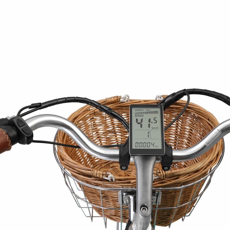 Progear Bikes E-Classique Vintage E-Bike 700c*17 in Seaform" - Image 5