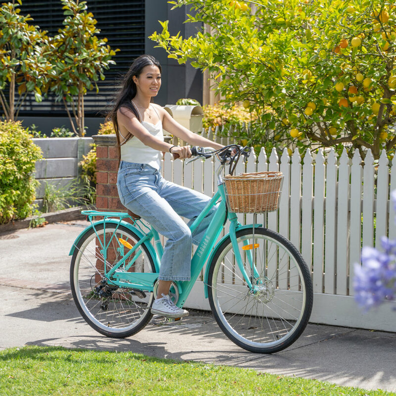 Progear Bikes E-Classique Vintage E-Bike 700c*17 in Seaform" - Image 8