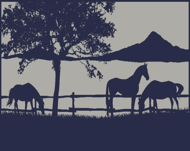 Ranch 5m x 2.4m recycled poly mat - Image 3